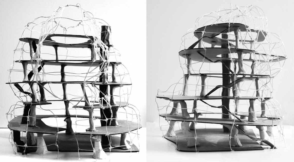 Digital Knowledge – ENSAPM, Studio de Philippe Morel, De l’organicisme à la computation, 2013